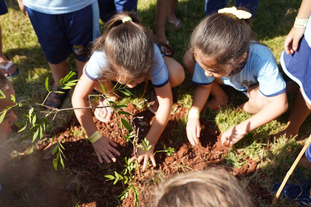 Crianças plantam mudas de árvores na entrega da reforma dos banheiros do Parque Ecológico de Sarandi